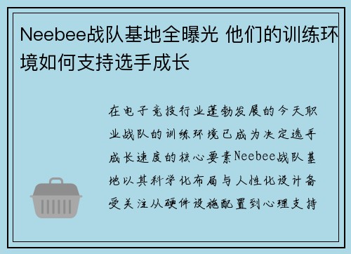 Neebee战队基地全曝光 他们的训练环境如何支持选手成长