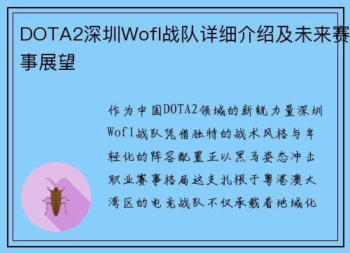 DOTA2深圳Wofl战队详细介绍及未来赛事展望